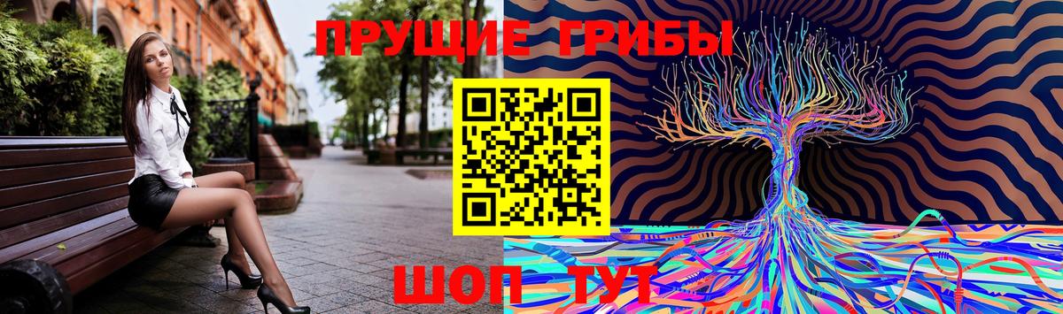 Галлюциногенные грибы MAGIC MUSHROOMS  Вход с VPN  закладки  Вятские Поляны 