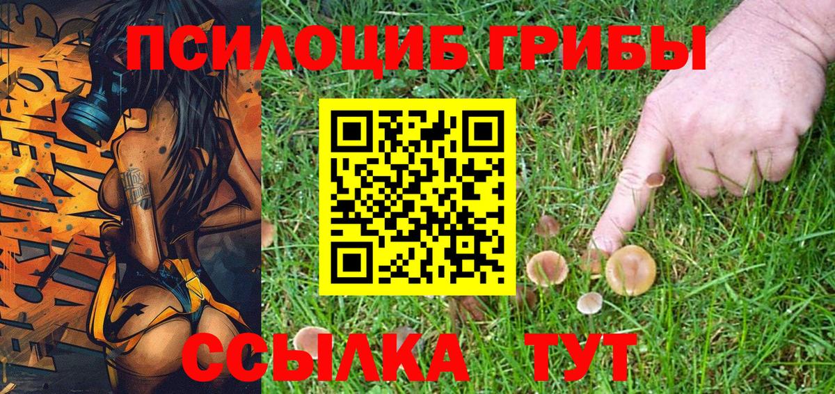 Псилоцибиновые грибы Psilocybe Вятские Поляны