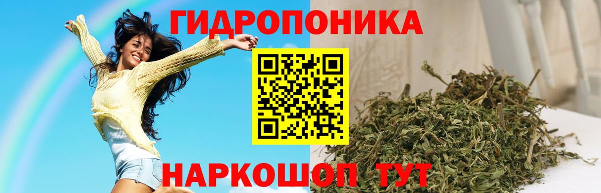 Шишки марихуана гибрид Вятские Поляны